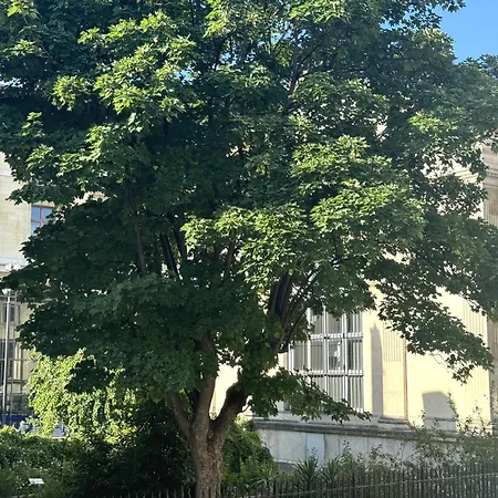 Joli Jardin Des Plantes *