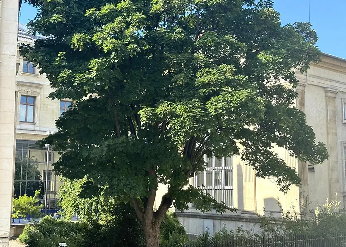 Joli Jardin Des Plantes *